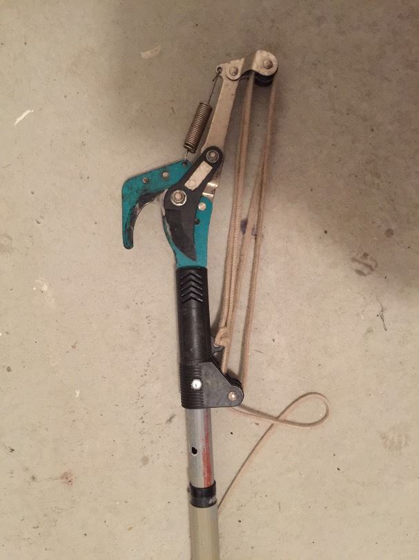 Fruktträdsbeskärare