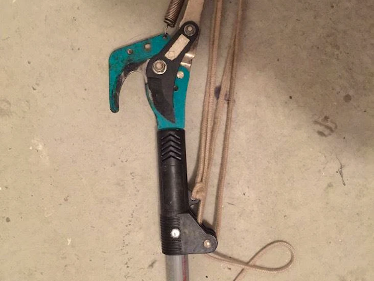 Fruktträdsbeskärare