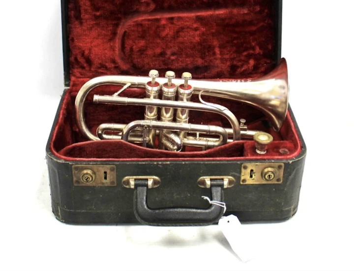 Silver brass cornet