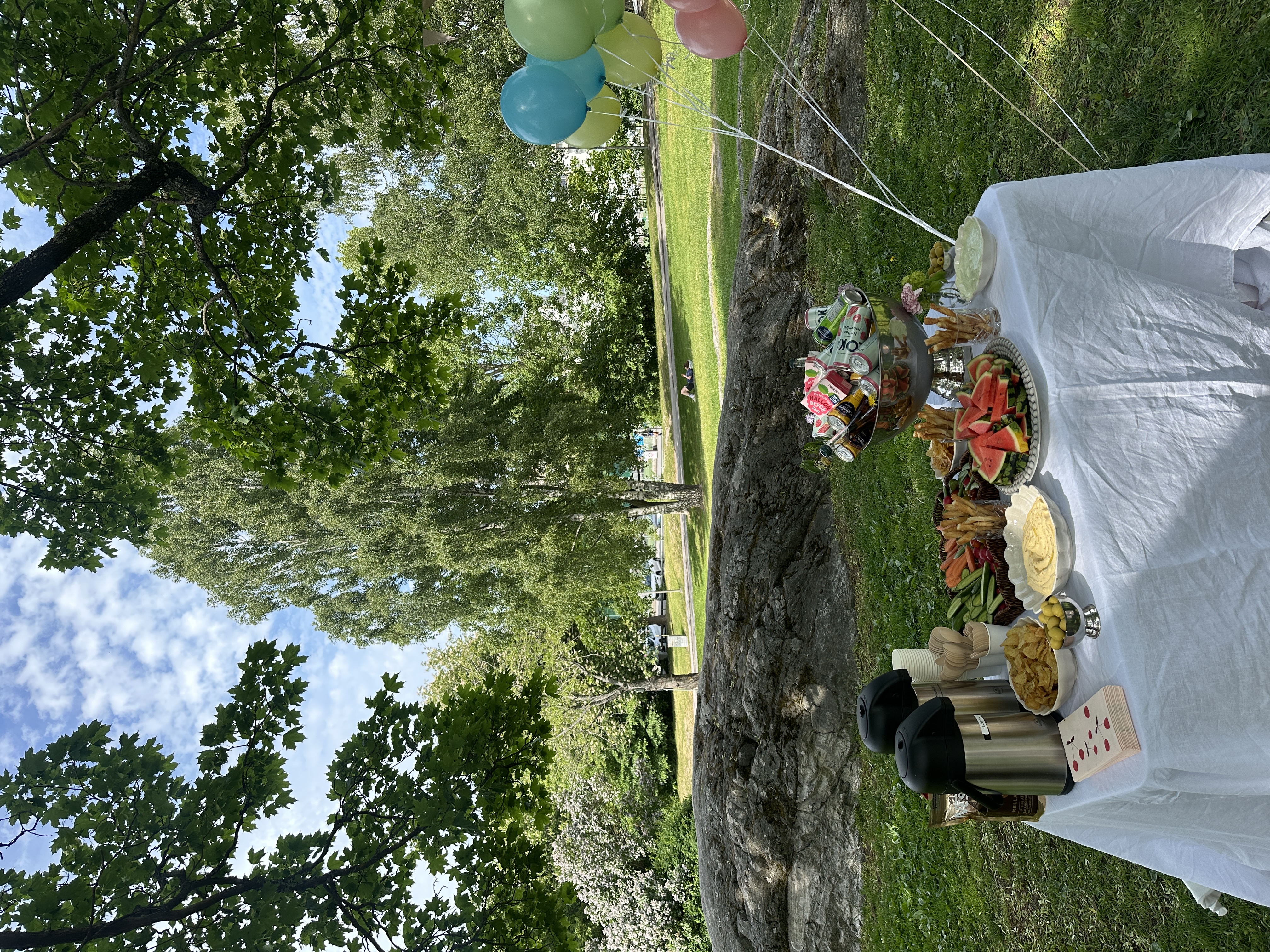 Bord, hopfällbart 