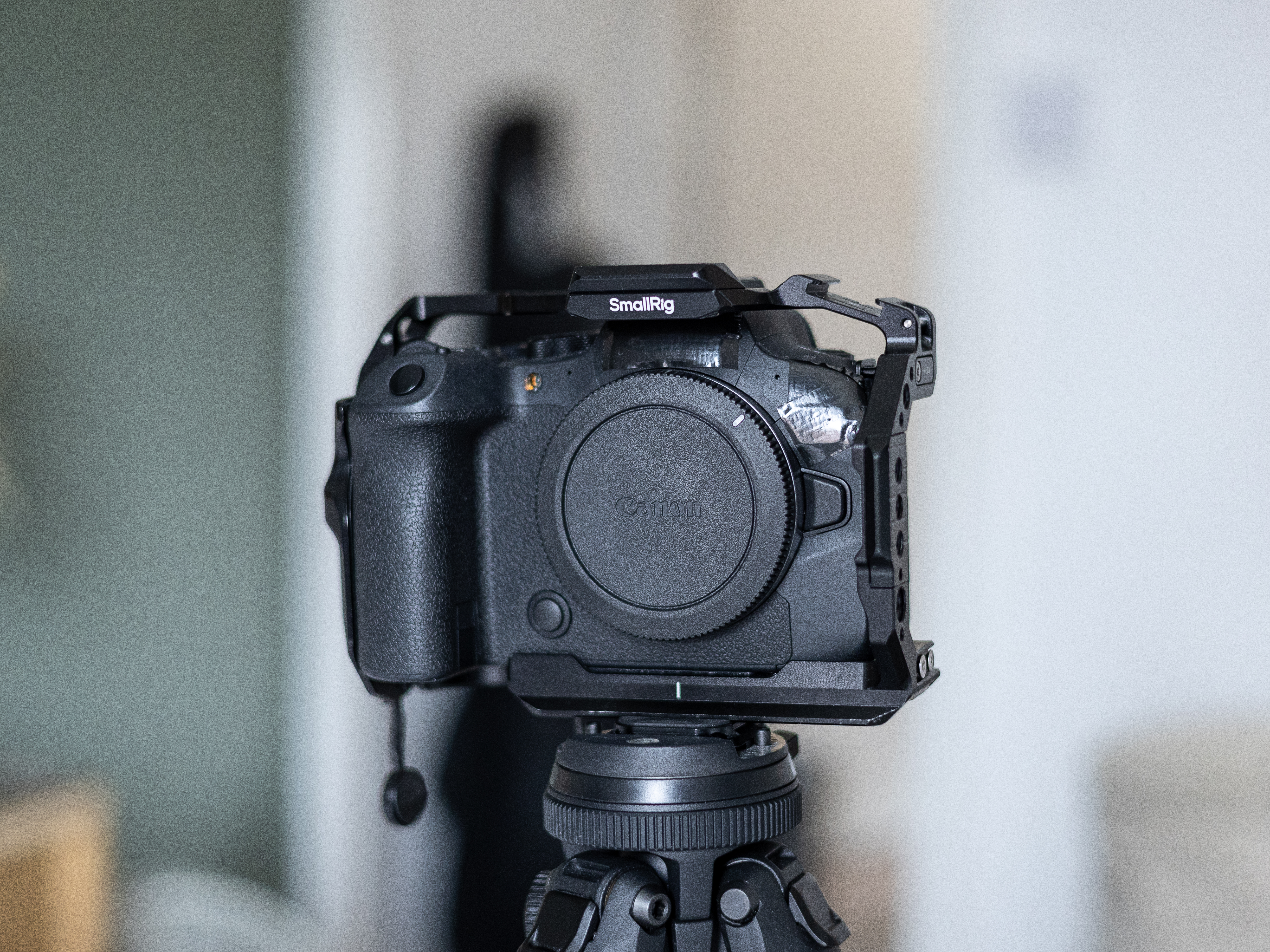 Canon r6ii 