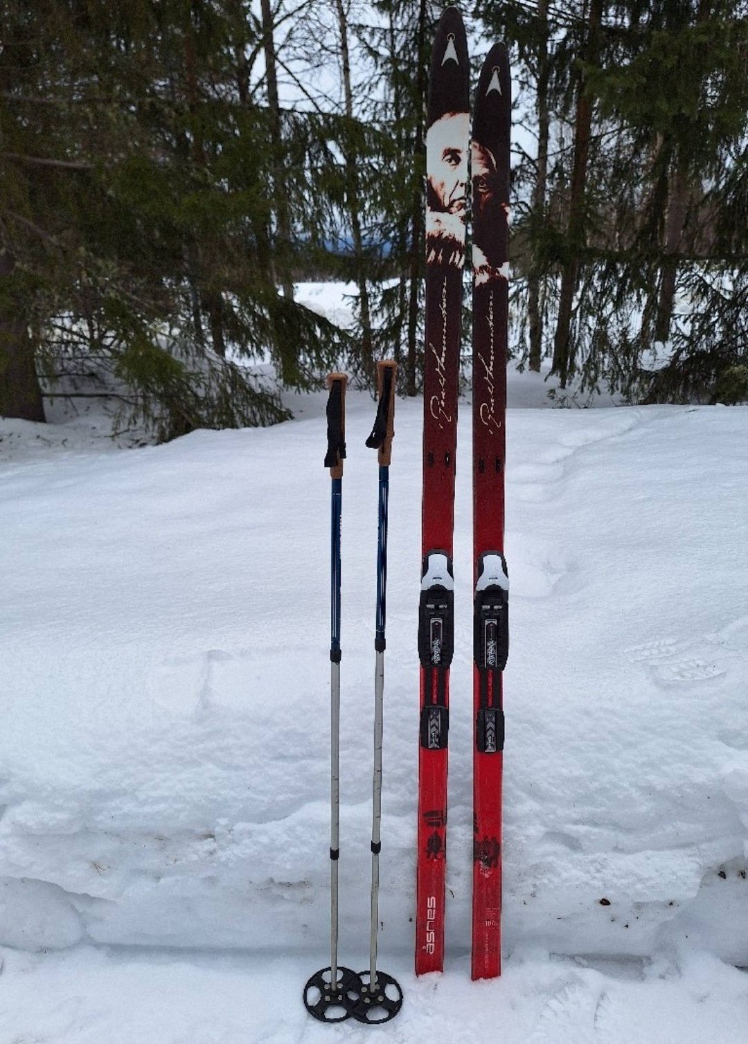 Åsnes amundsen turskidor