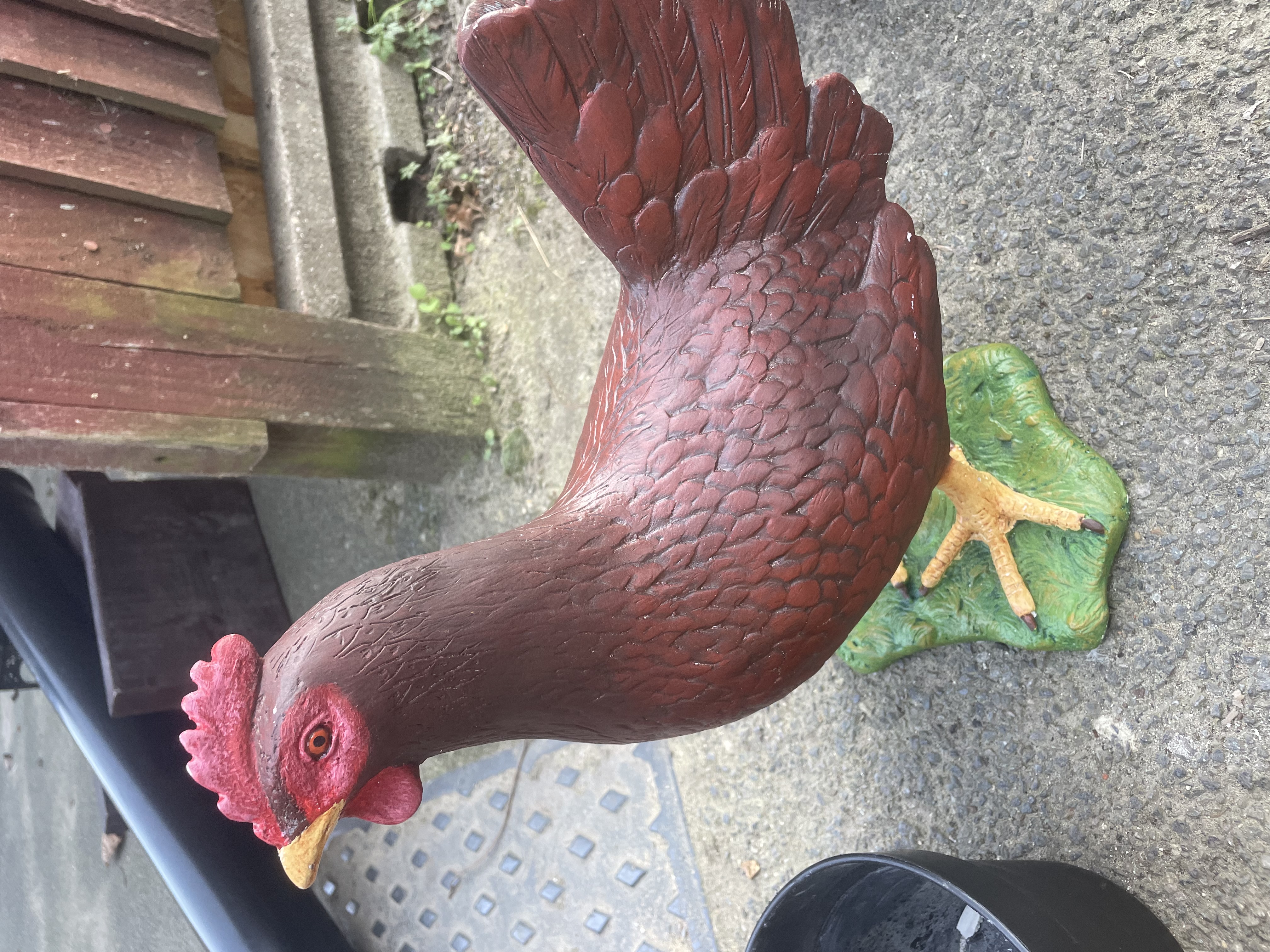 Hen lifesize statue