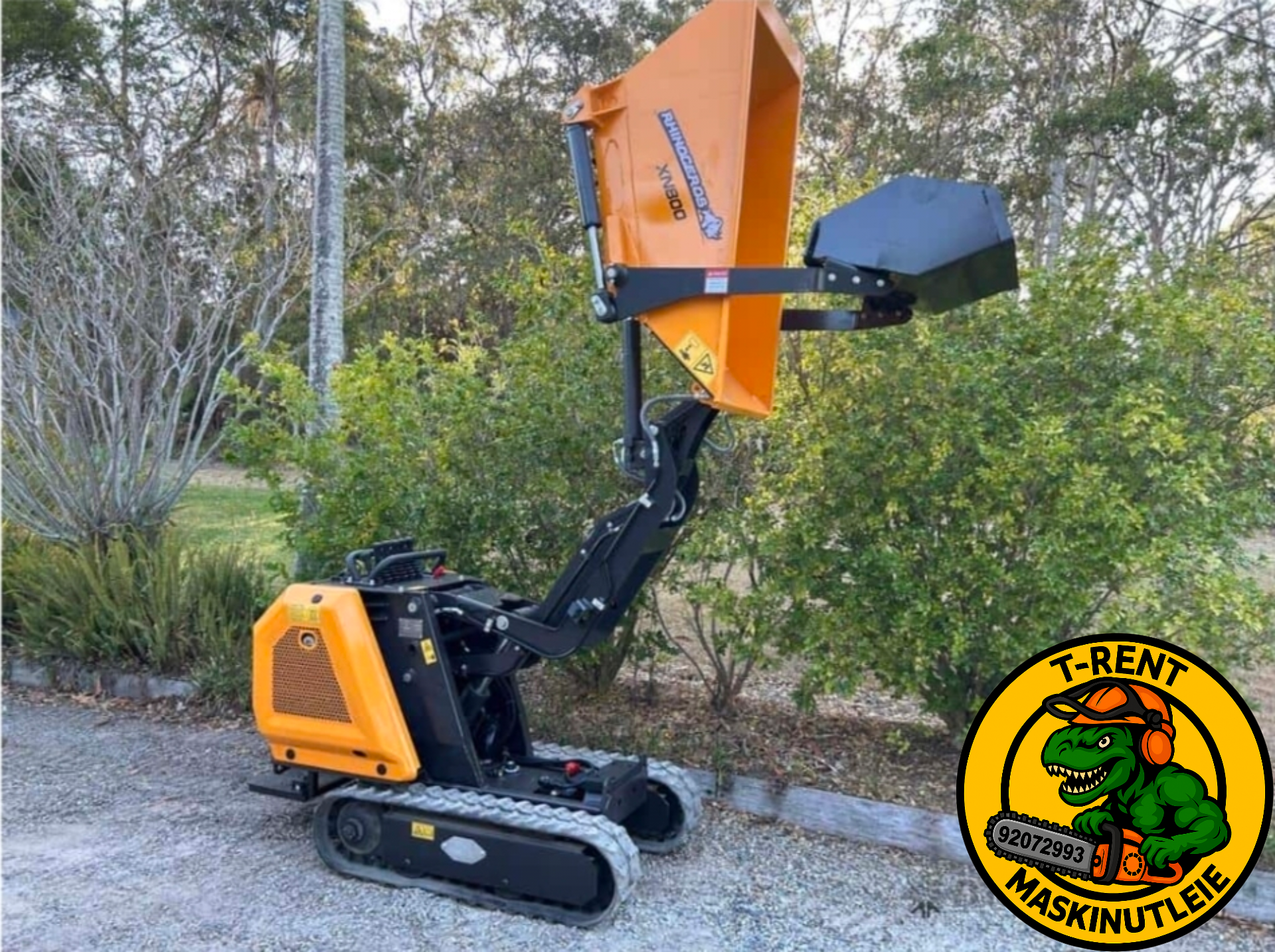 800kg minidumper 