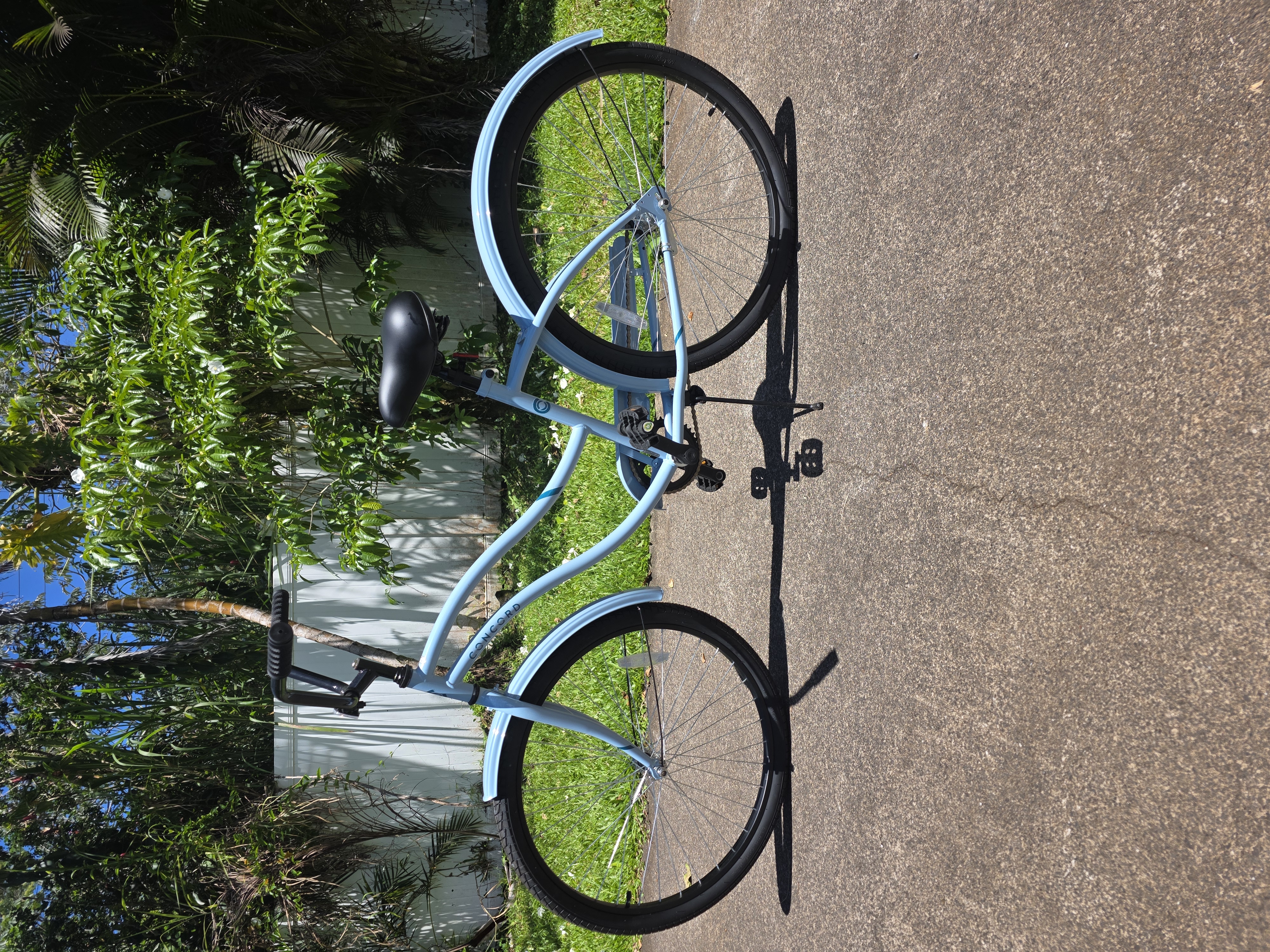 Bikes for rent can deliver for a fee.