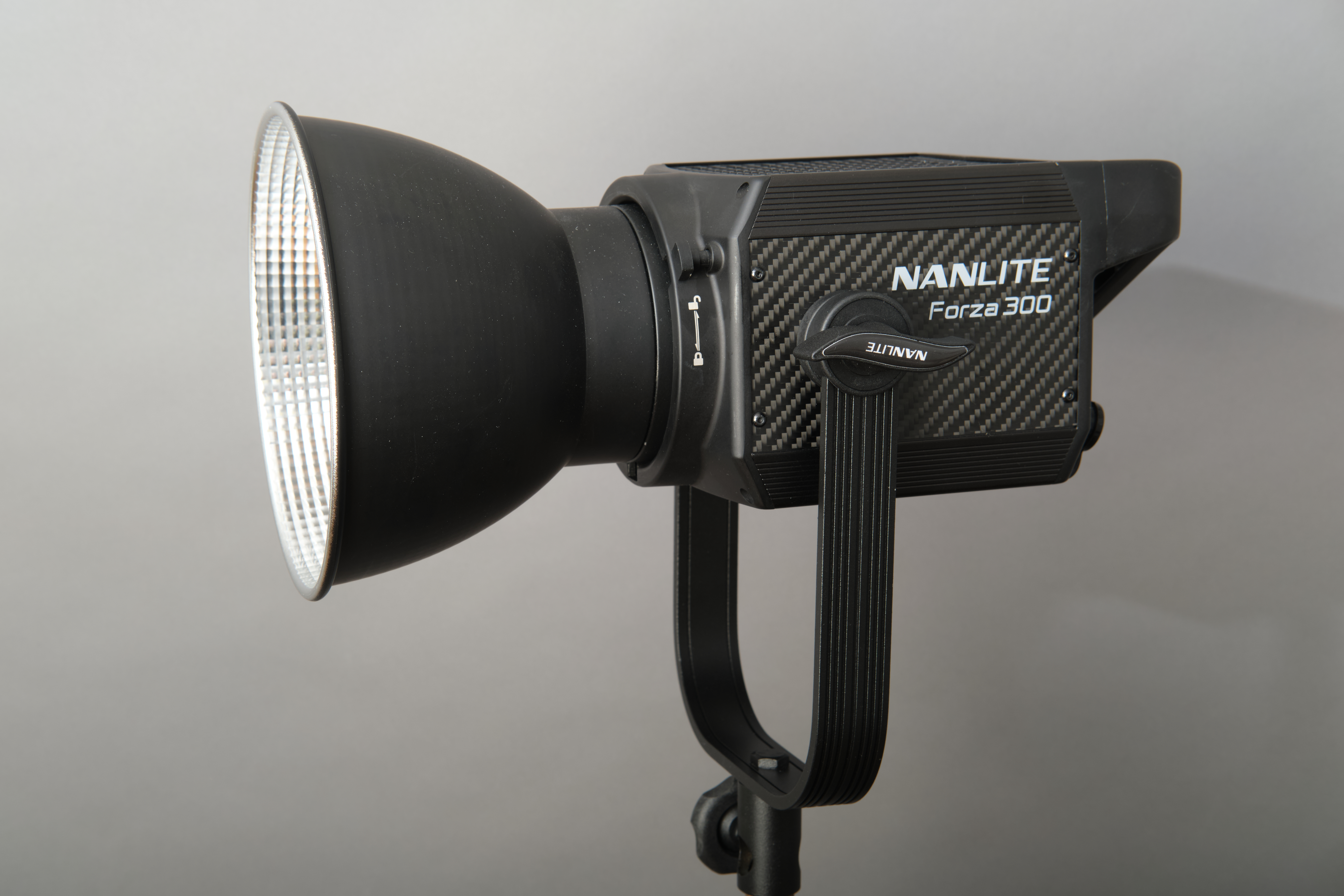 Nanlite forza 300 led head and manfrotto 004b light stand