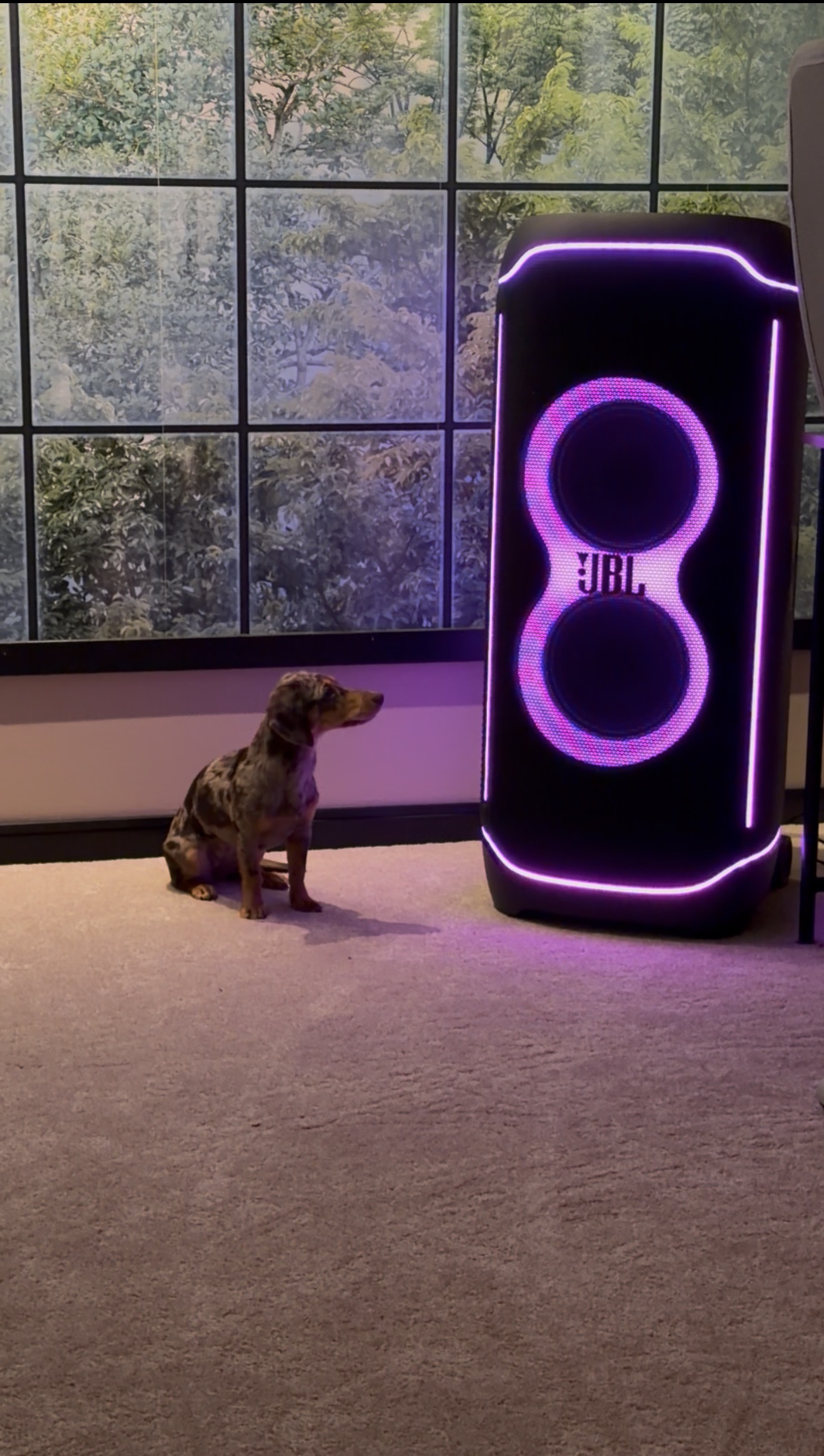 Jbl ultimate partyhögtalare