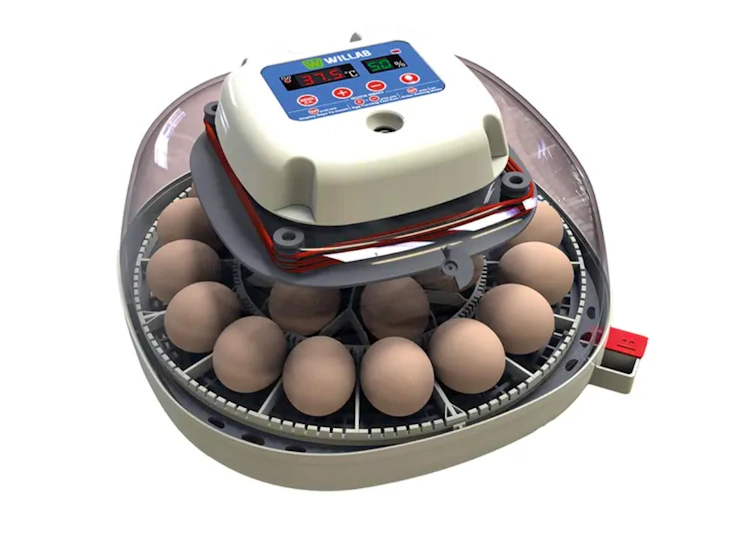 Rugemaskin willab 22