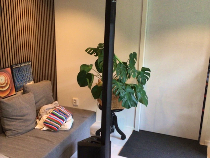 Smidigt pa (bose l1) med trådlös mikrofon