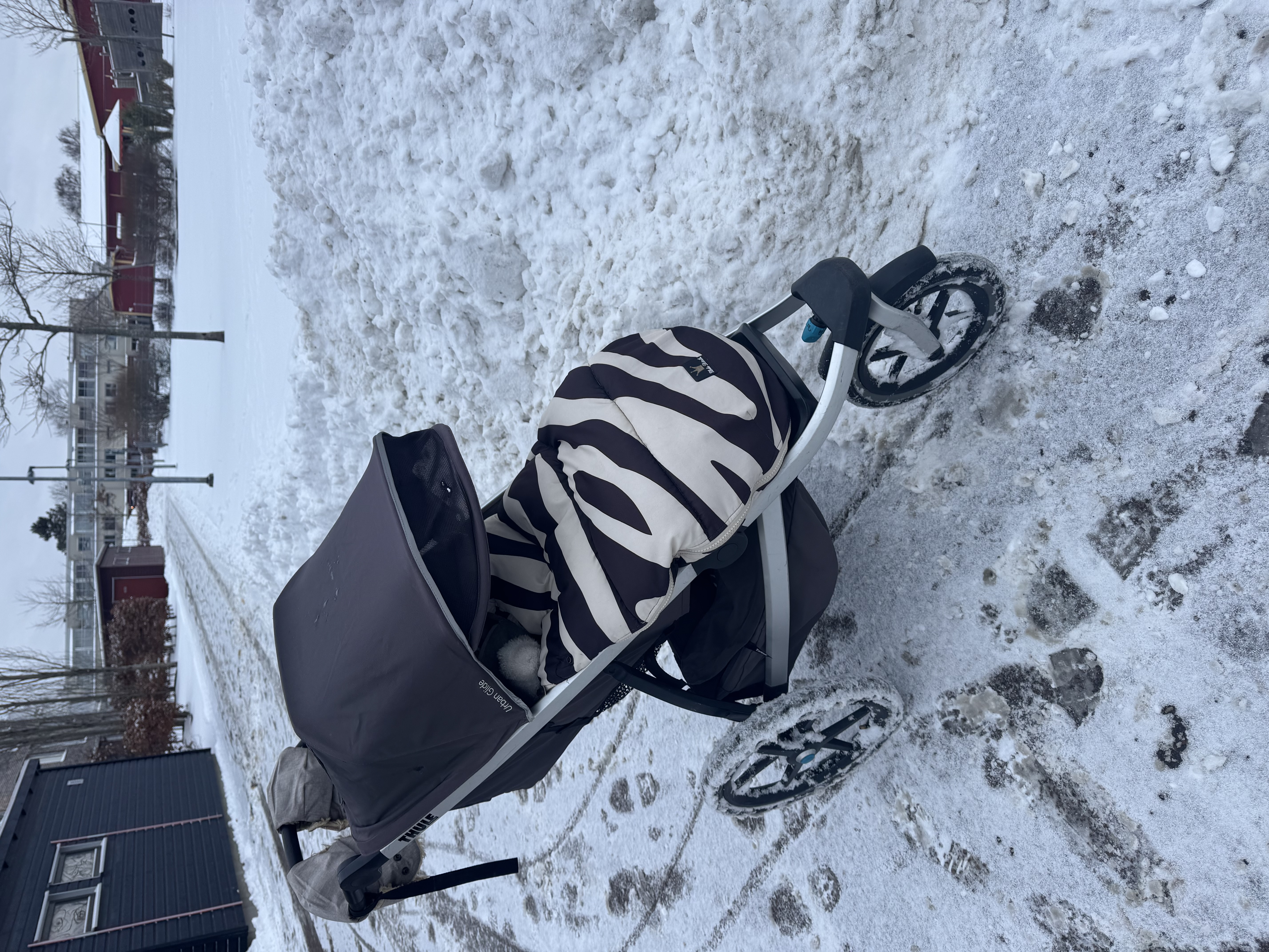 Thule urban glide