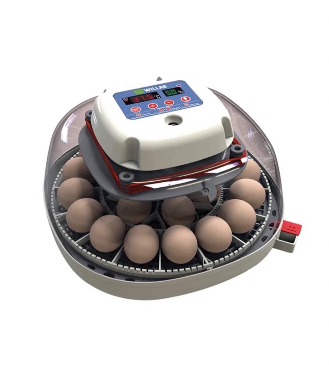 Willab äggkläckningsmaskin helautomatisk 