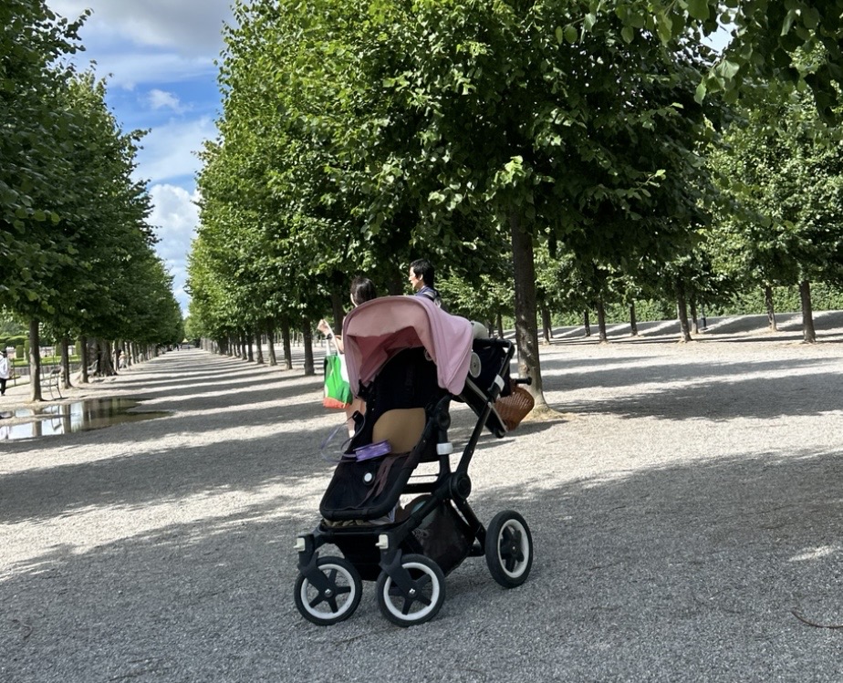 Bugaboo buffalo med rosa sufflett – robust premiumvagn för alla underlag 