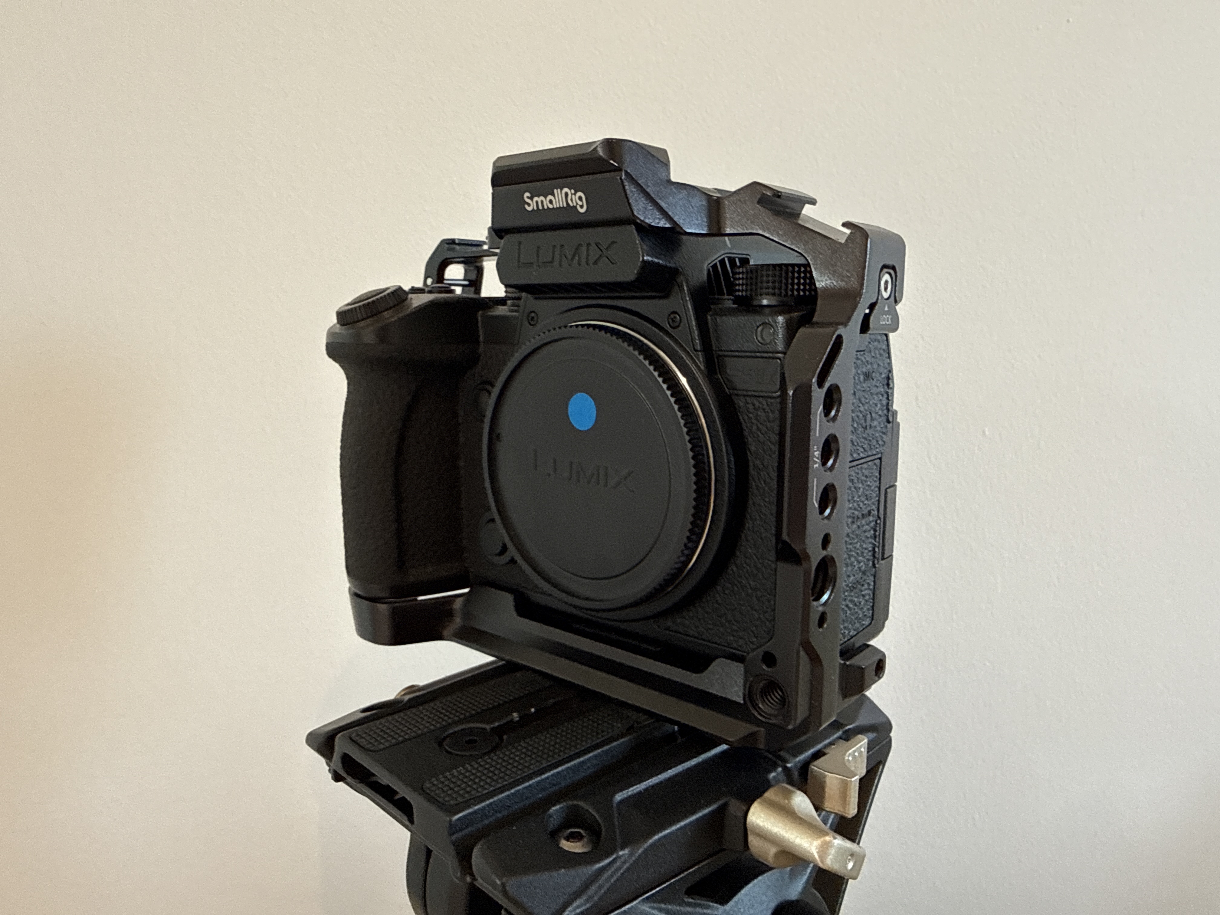 Panasonic lumix s5iix with the sigma 24-70mm f/2.8 dg dn ii art (l-mount)