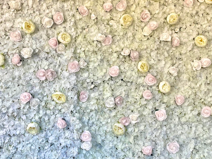 Vuokrattava kukkaseinä