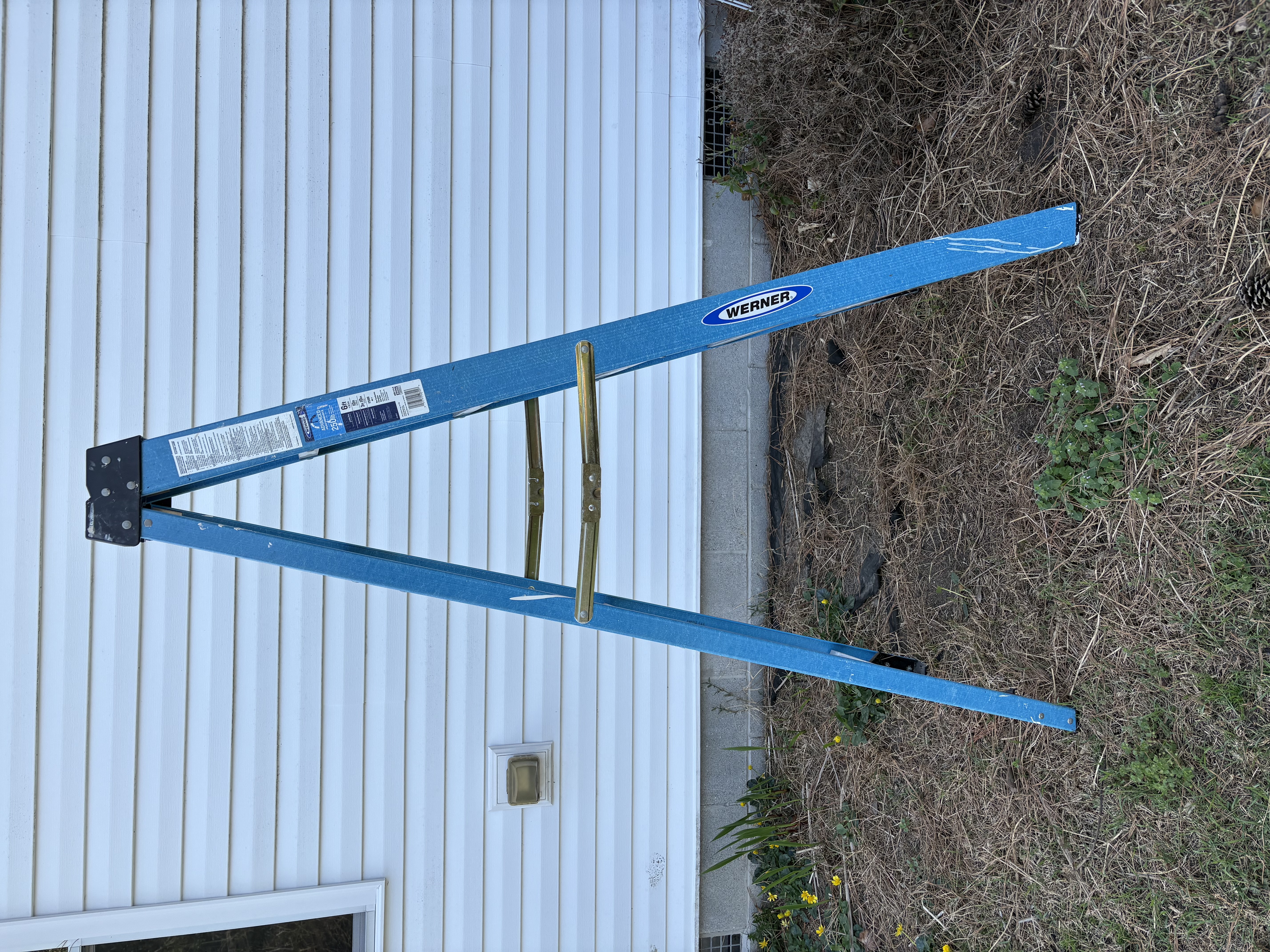 Werner 6ft ladder