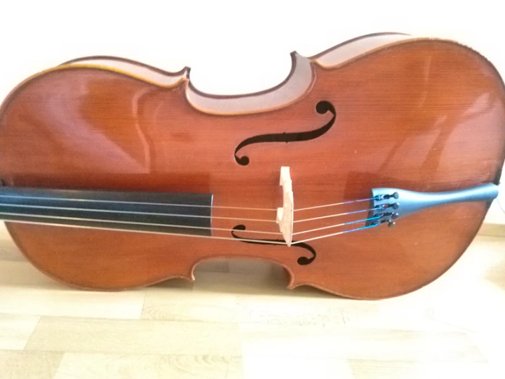 Vuokrataan 4/4 sello helsingissä