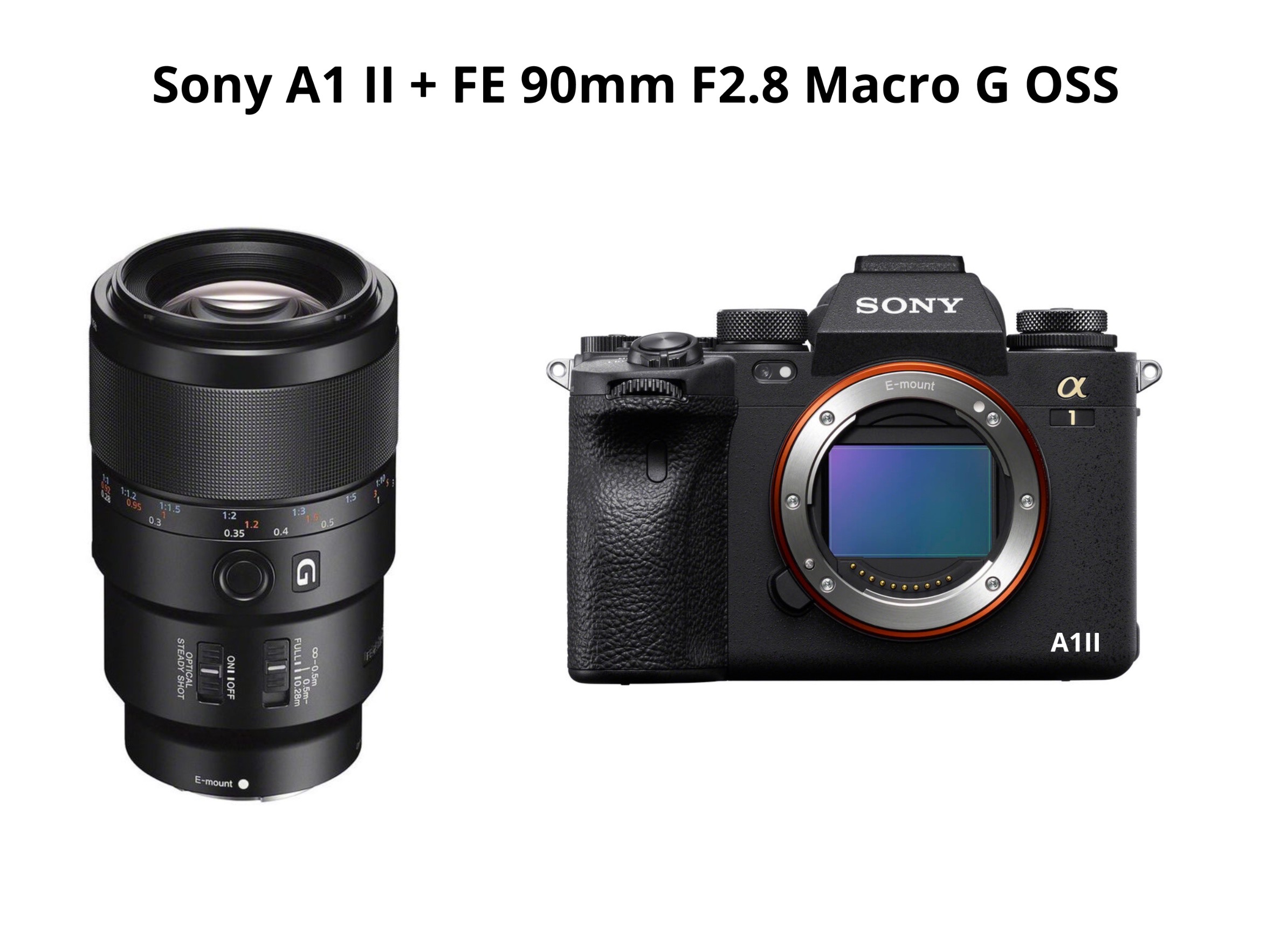 Sony a1 ii + fe 90mm f2.8 macro g 