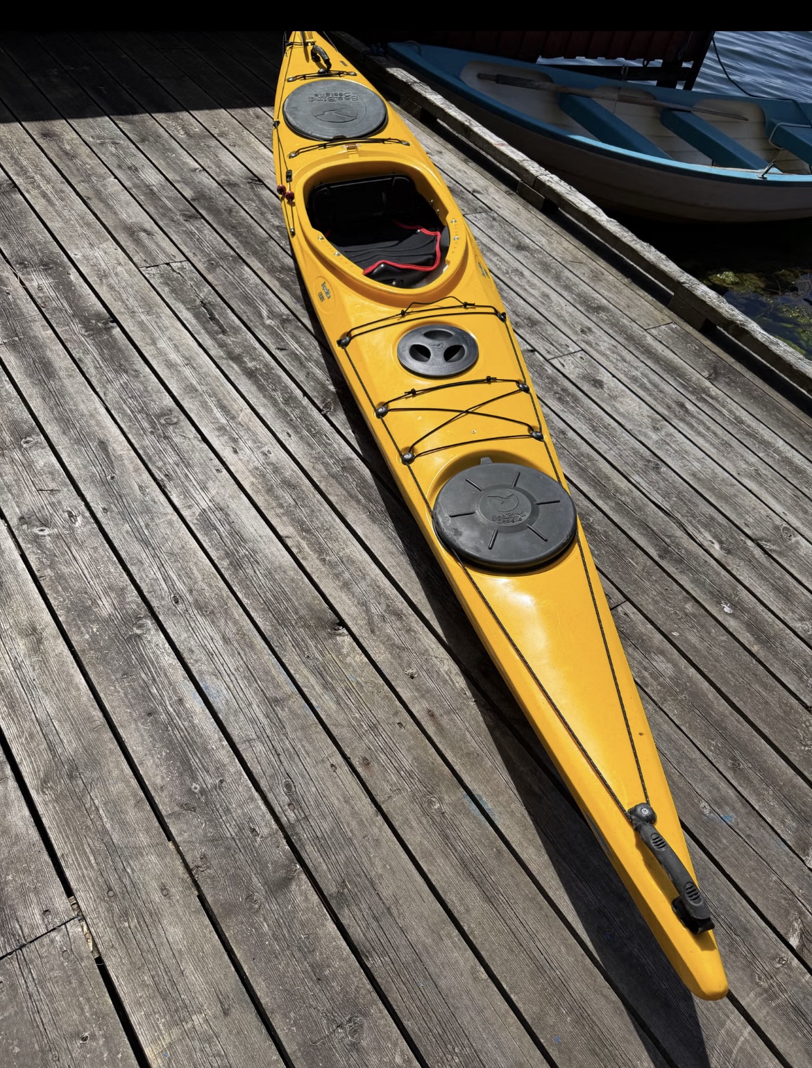 Gul seabird expedition