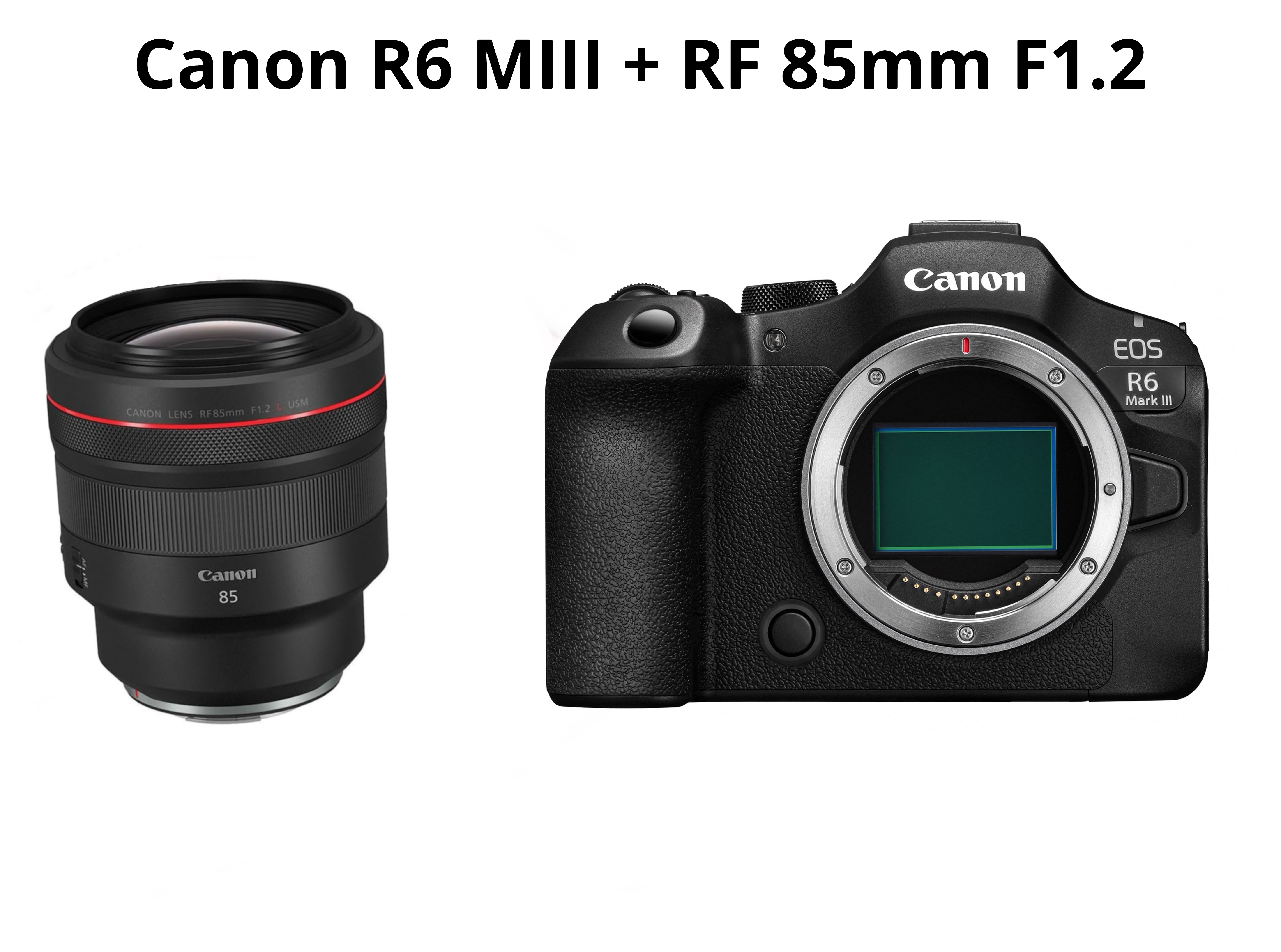 Canon r6 mark iii  + rf 85mm f1.2 ( canon eos r6 mark iii - canon r6miii )