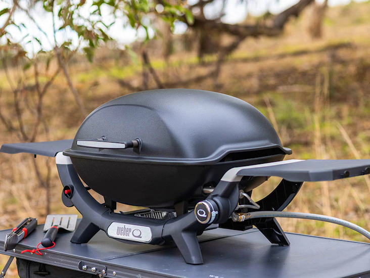 Weber grill