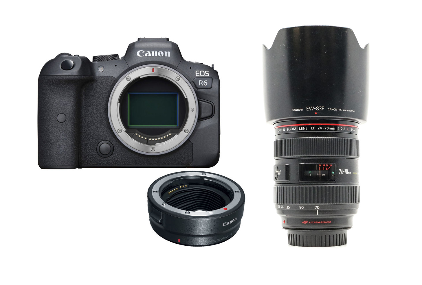 Canon r6 mirrorless pro camera + ef 24-70mm f2.8 l 