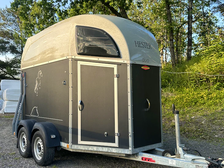 Böckmann duo hestehenger