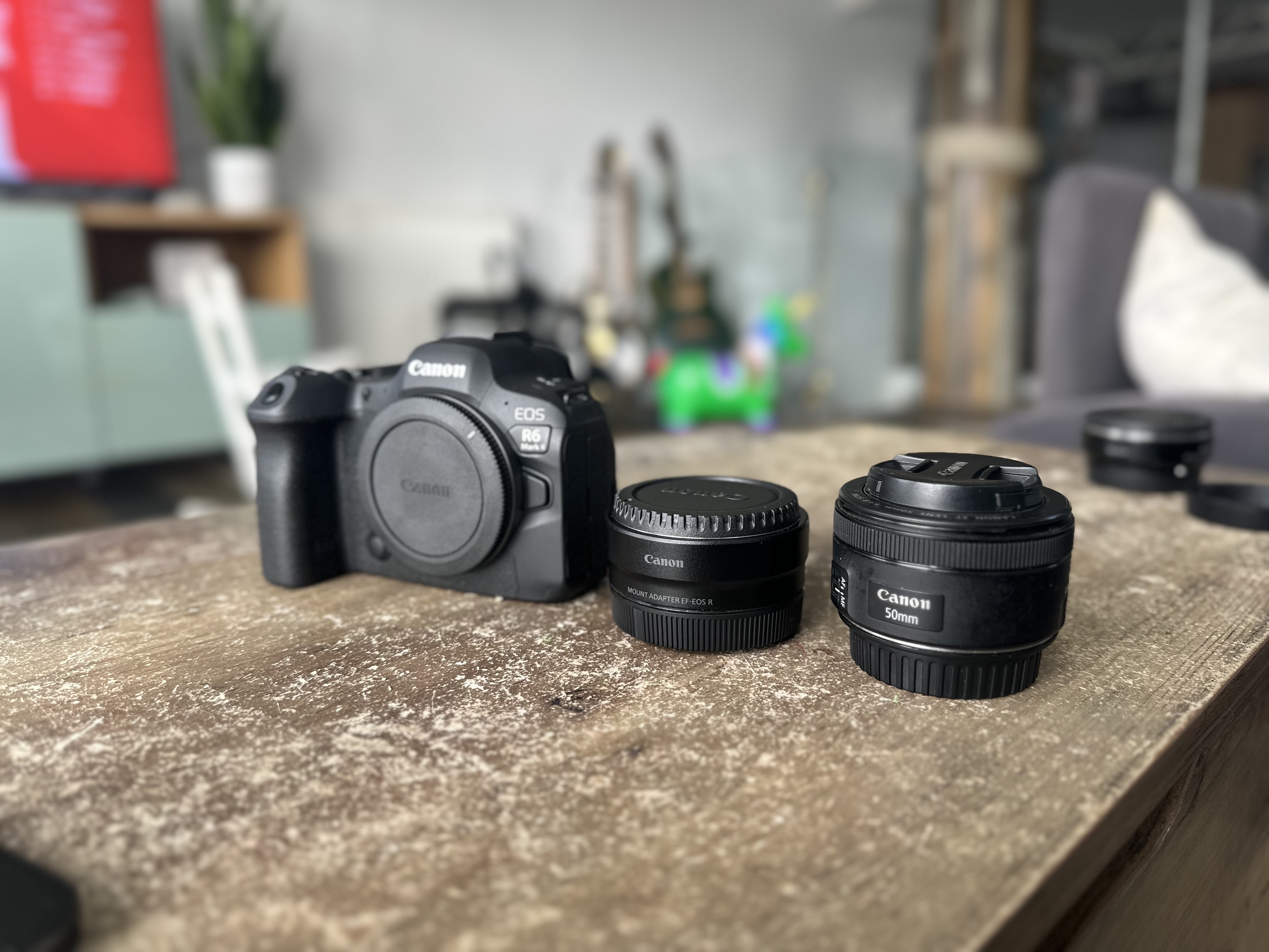 Canon r6 mark ii + ef-eos r adapter + canon ef 50mm f/1.8 stm