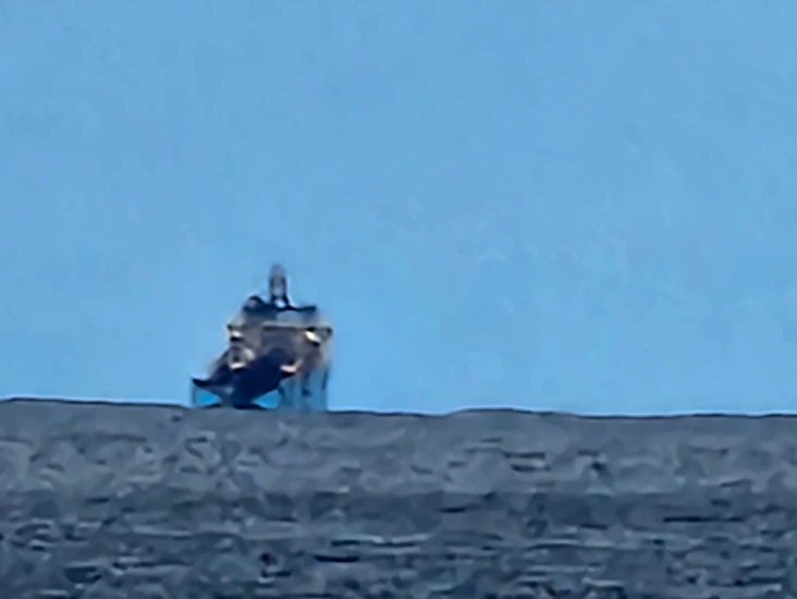 Automatic cricket bowling machine