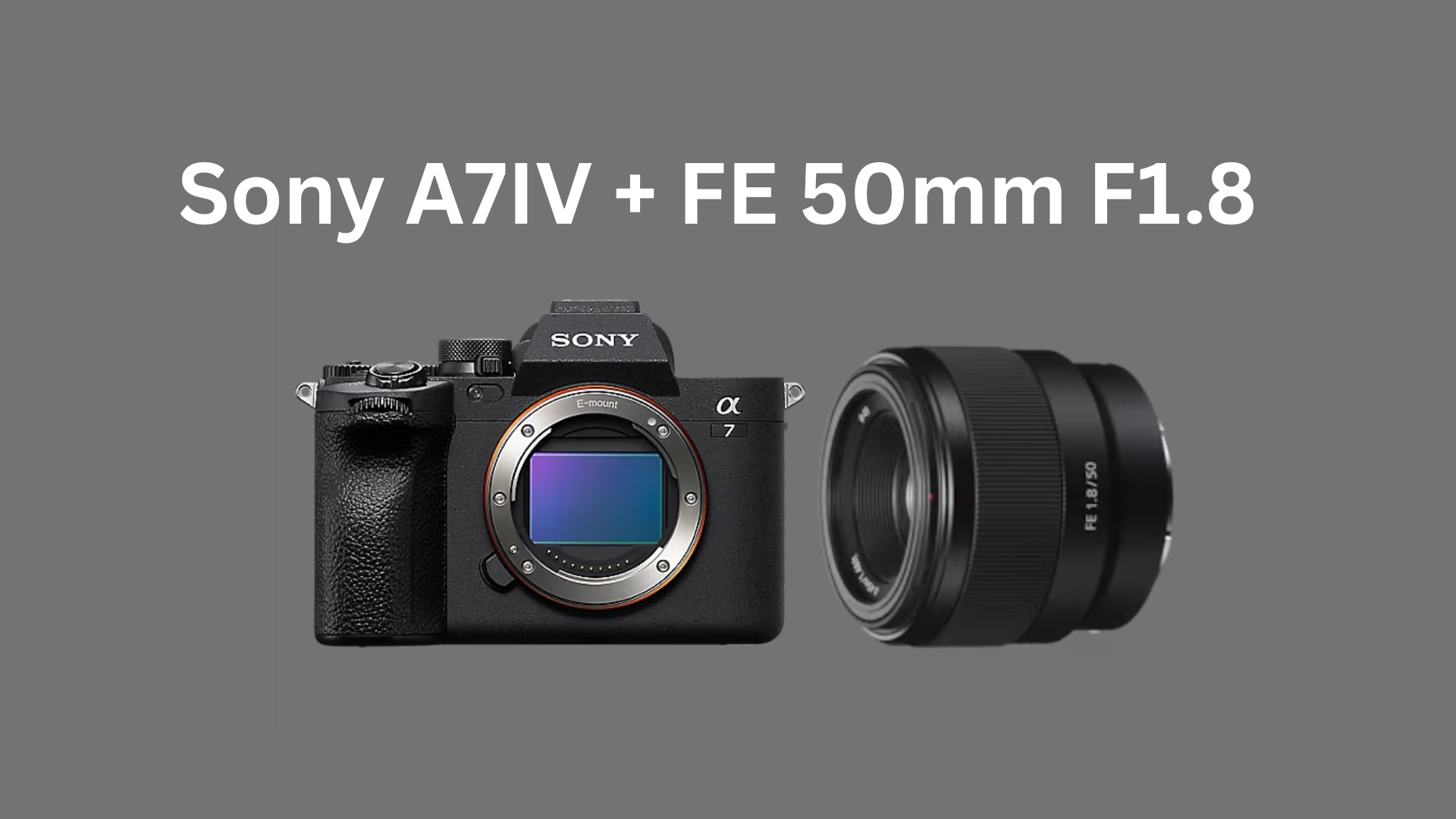 Sony a7iv + fe 50mm f1.8