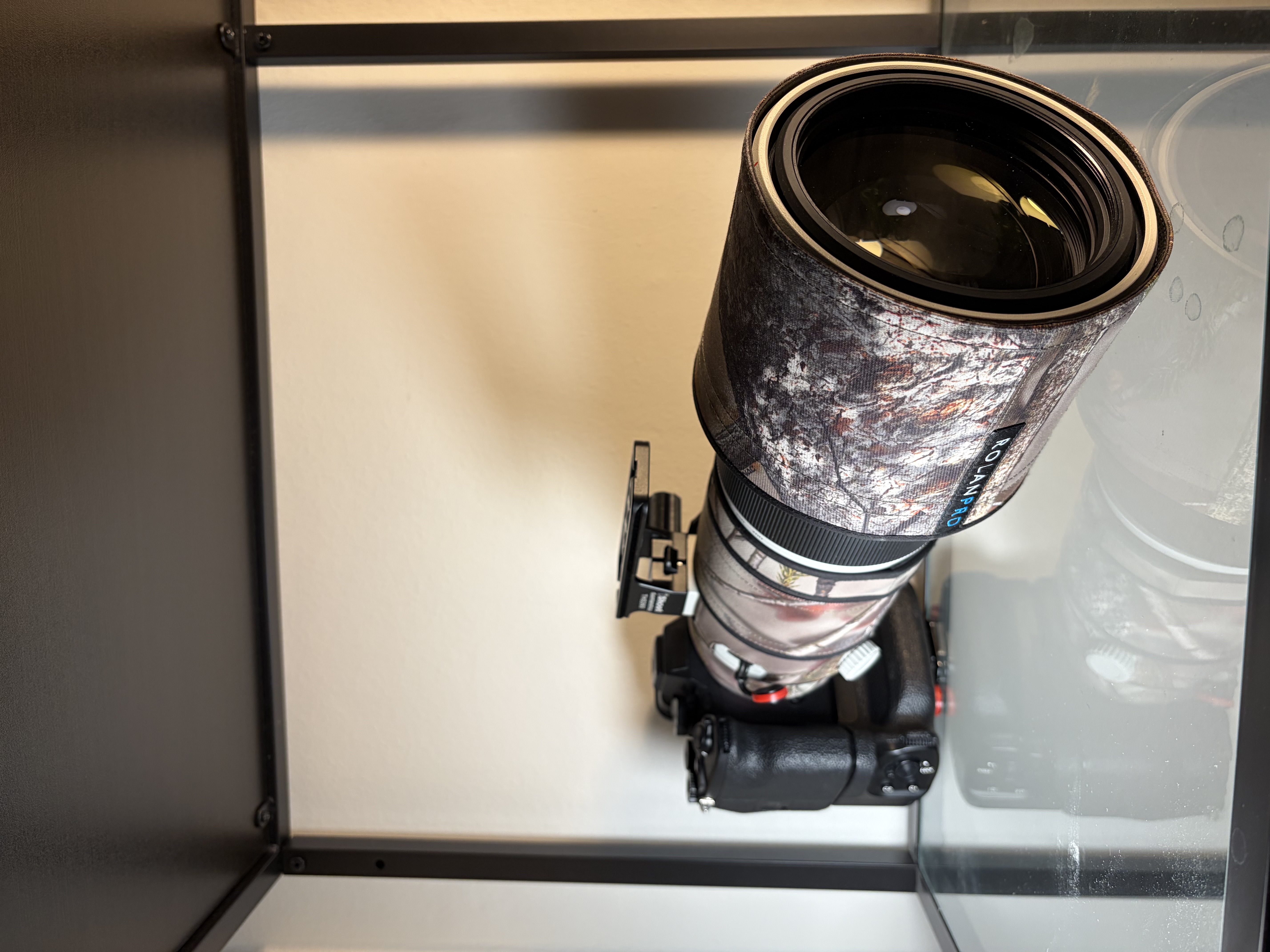 Sony a7iv with 200-600mm 5.6-6.3 g