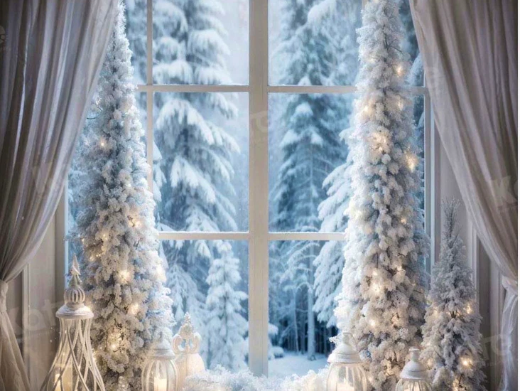 Christmas/snowy white window