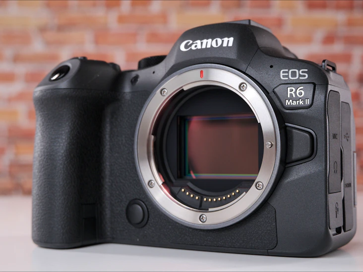 Canon r6 mark ii + sigma ef 24-70mm f2.8 ef- rf adapter