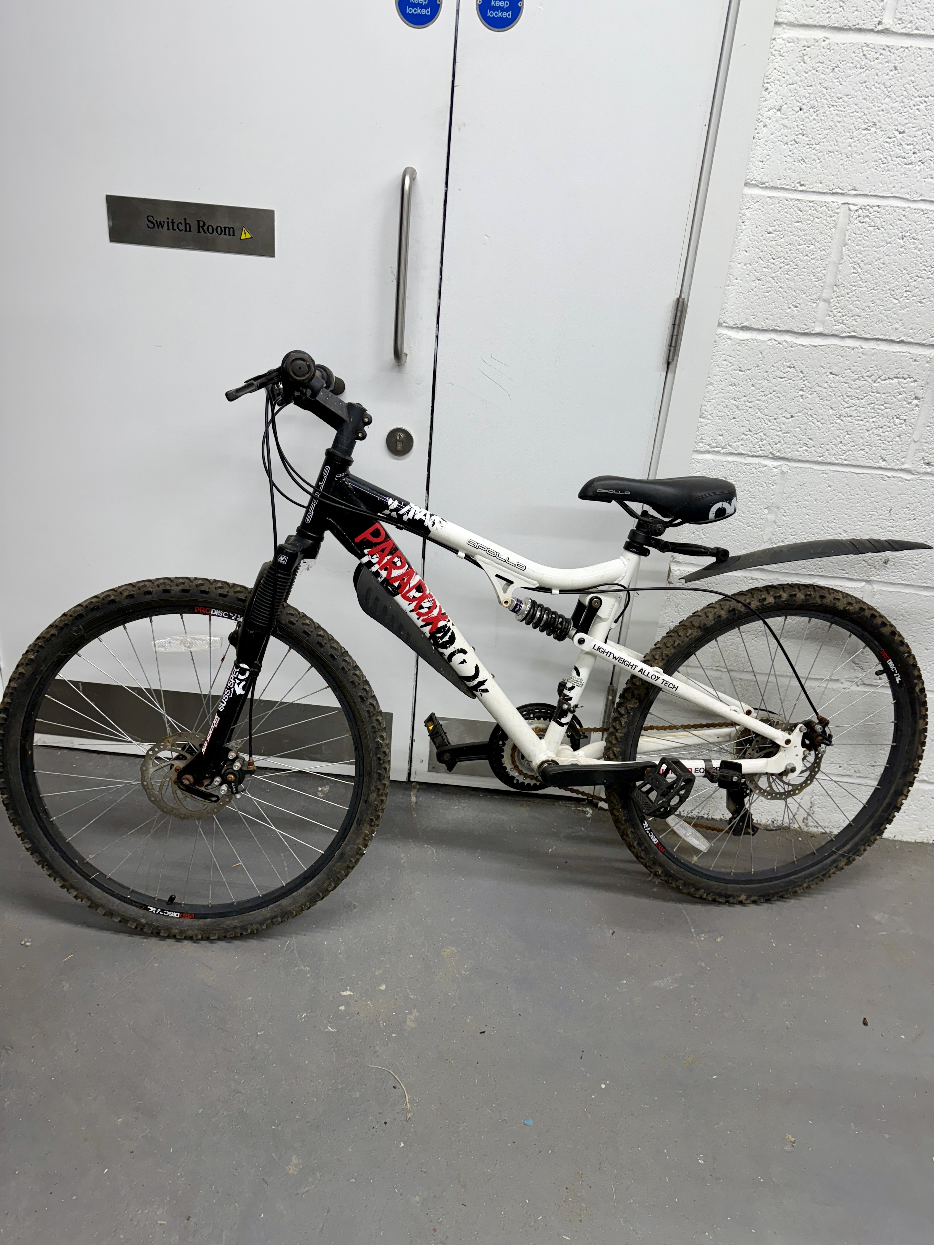 Mountain bike