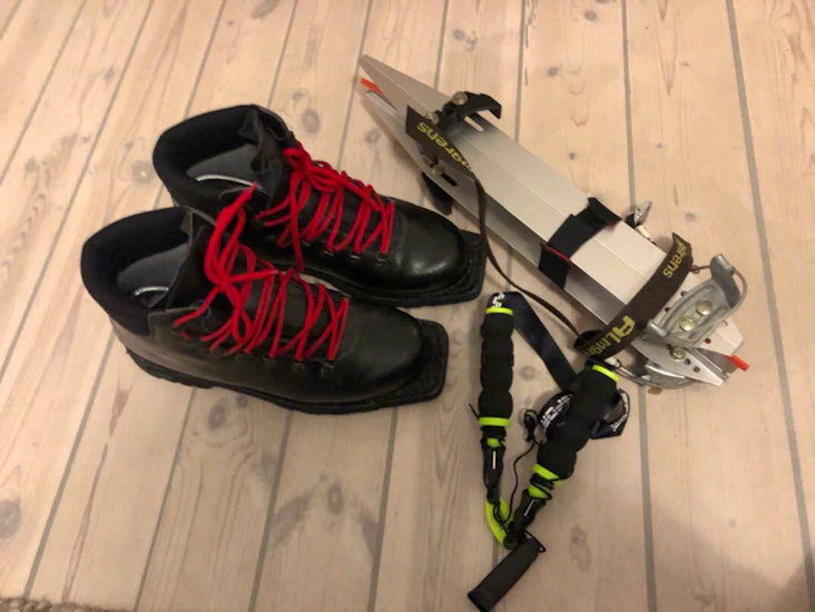 Långfärdsskridskor