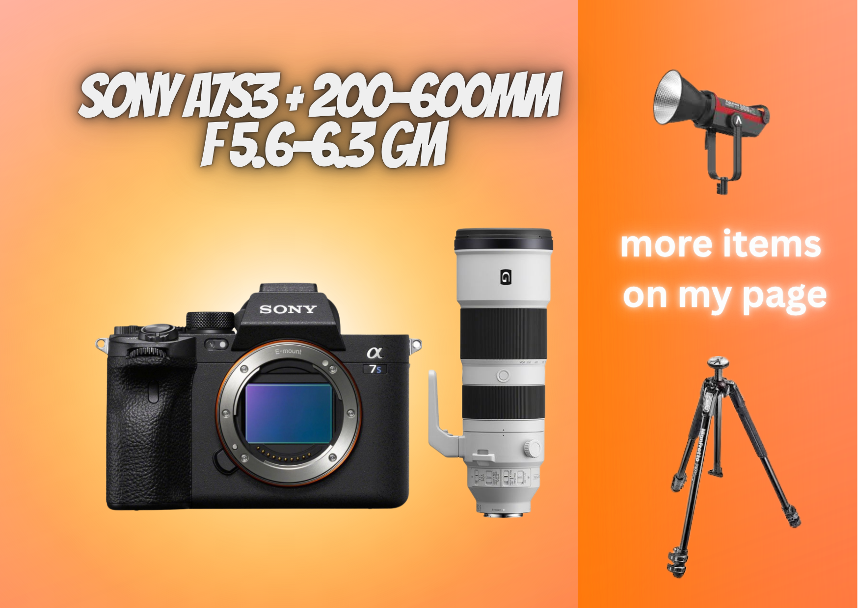 Sony a7s3 a7s iii + sony 200-600mm fe  f 5.6-6.3 