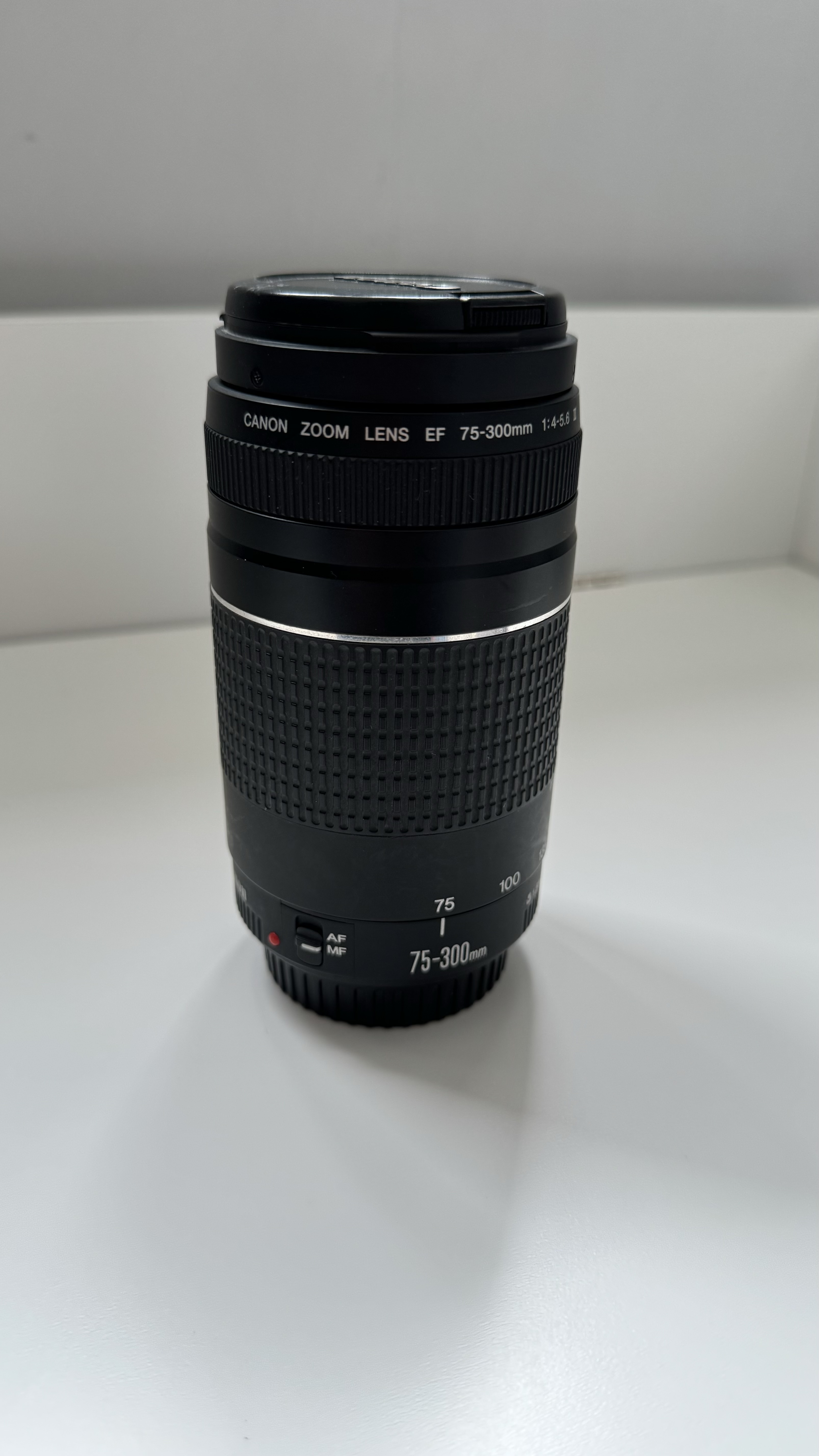 Canon ef-s 75-300mm lens 