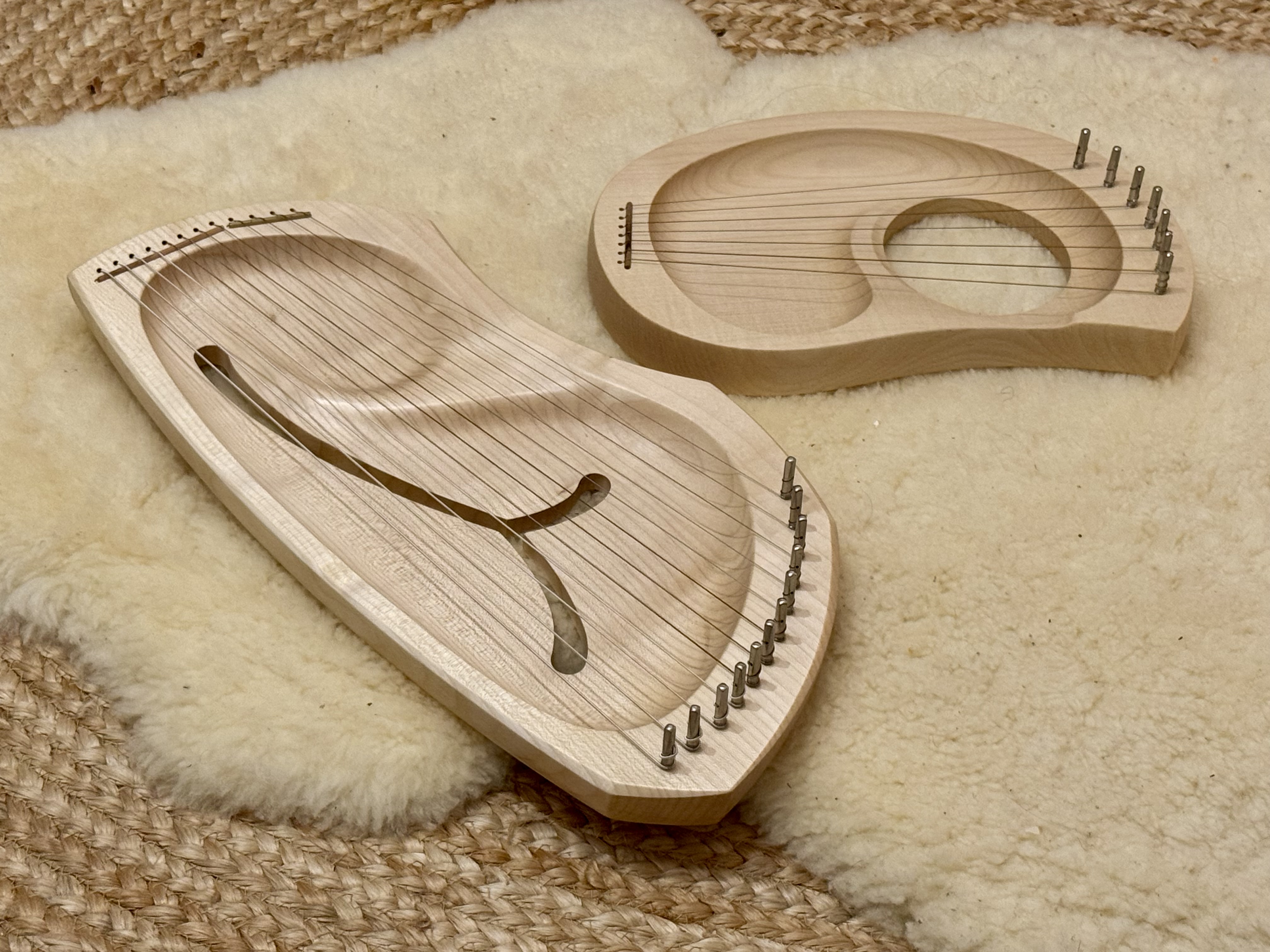 Auris lyre 