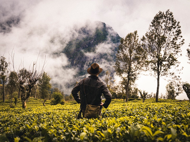 Elokuvatasoinen indiana jones -asukokonaisuus