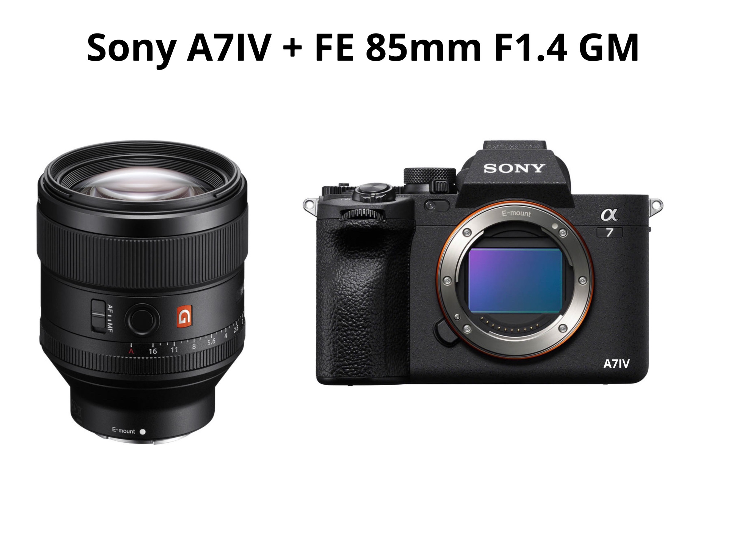 Sony a7iv + fe 85mm f1.4 gm