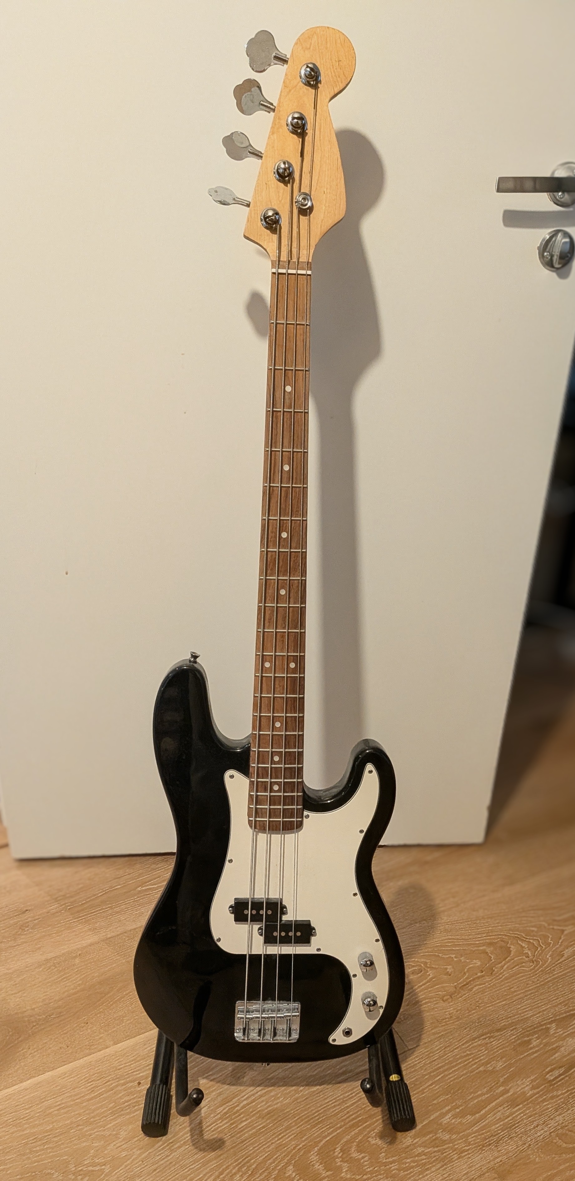Bas gitarr
