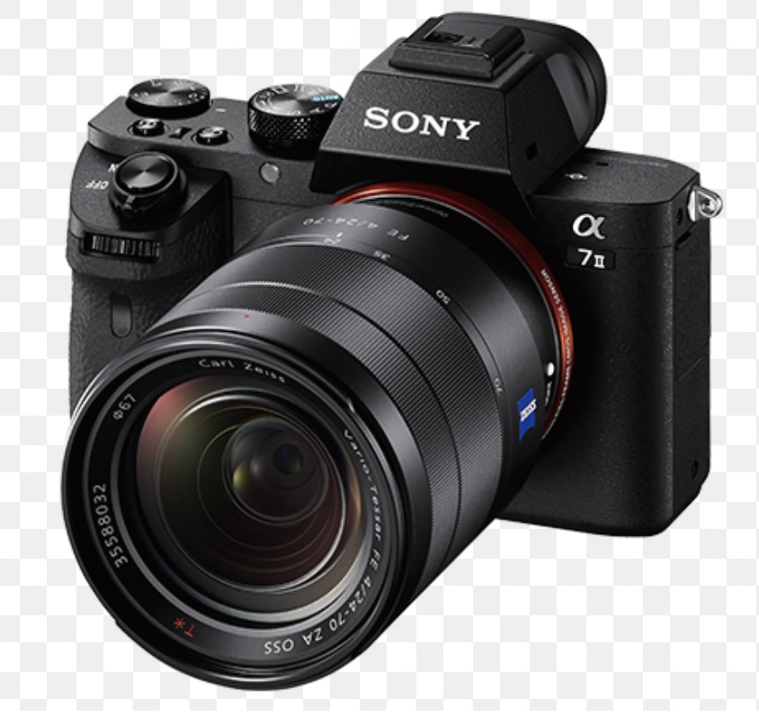 Sony a7 iii attached with sigma  art series 24-70mm lens 