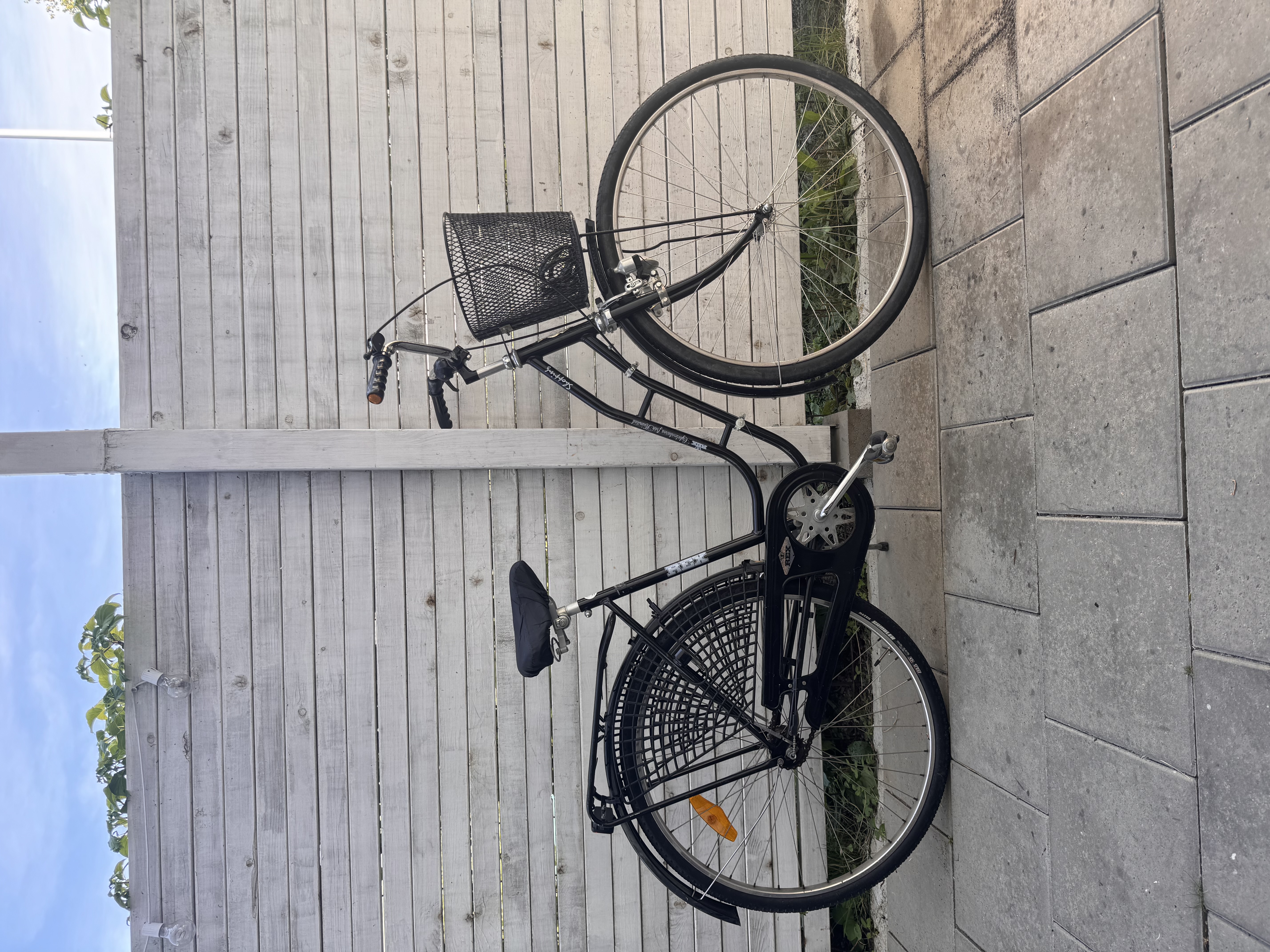 Damcykel rex 28”