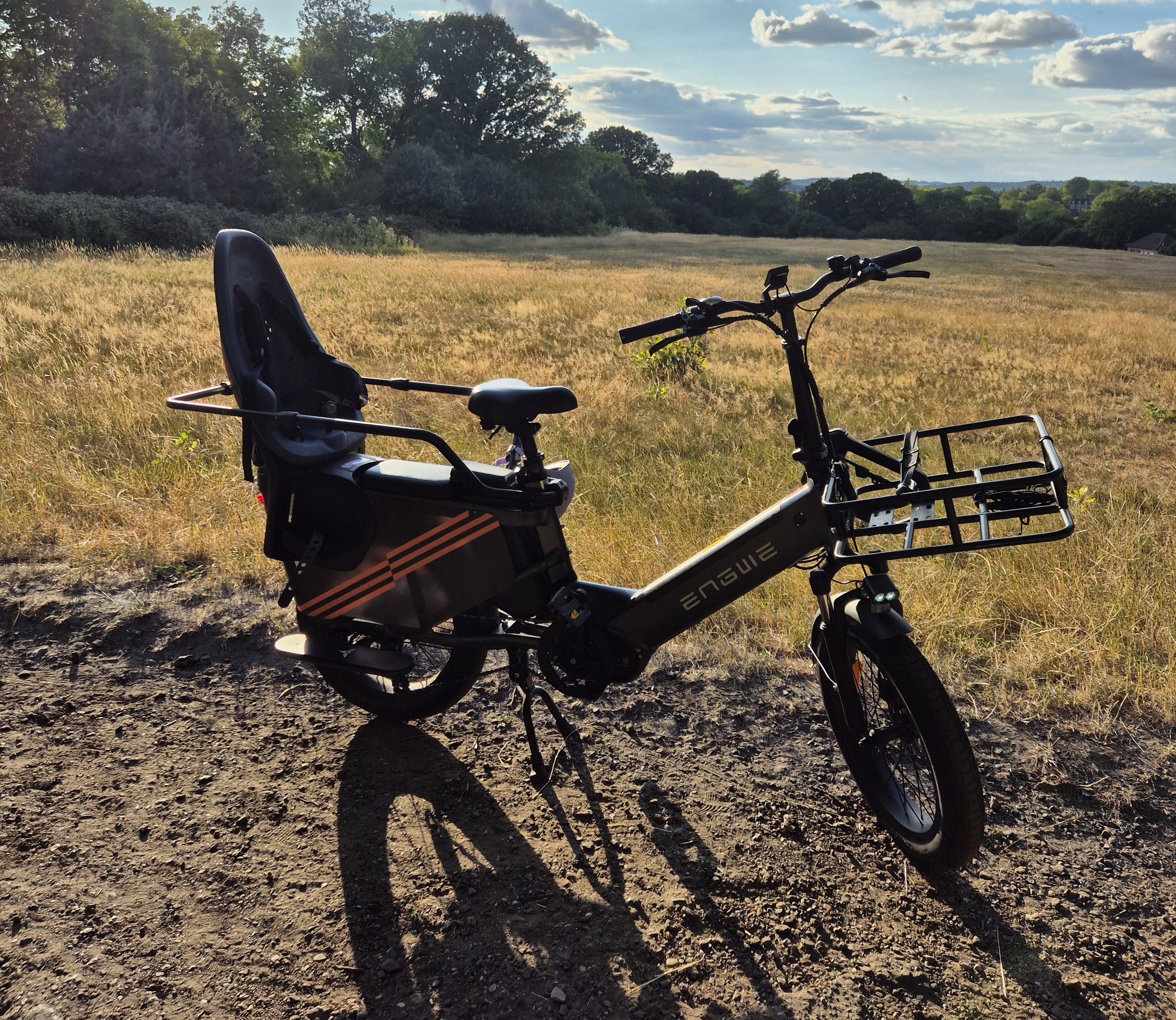 Electric passenger bike - e bike - 2x child seats - cargo bike - engwe le20