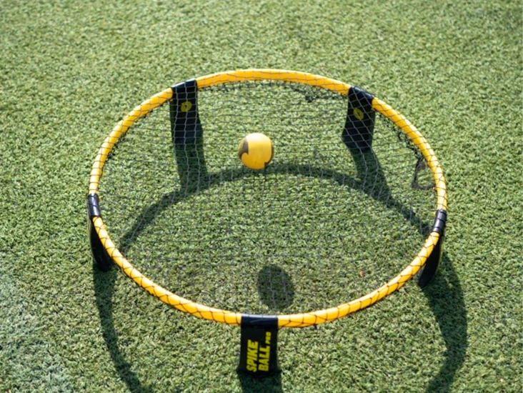 Spikeball pro