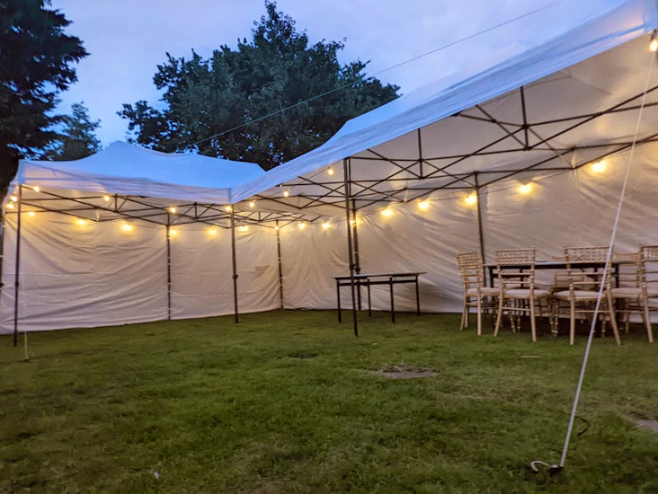 Festoon lights (30m)