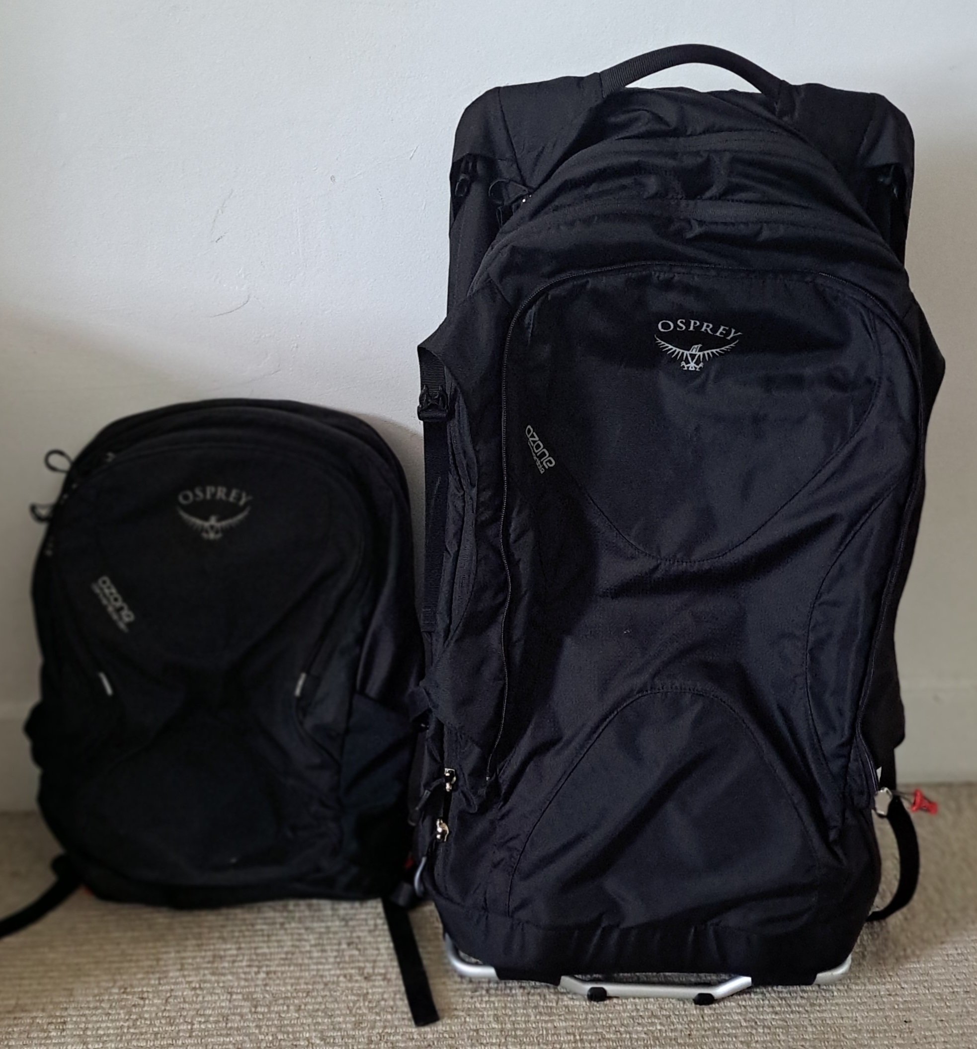 Osprey travel bag