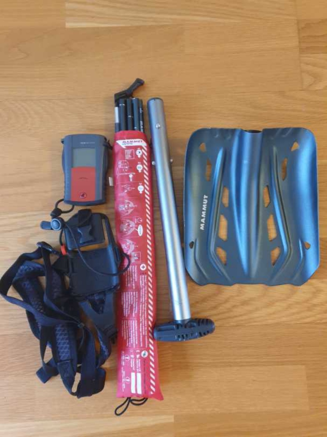 Komplett skredsett mammut