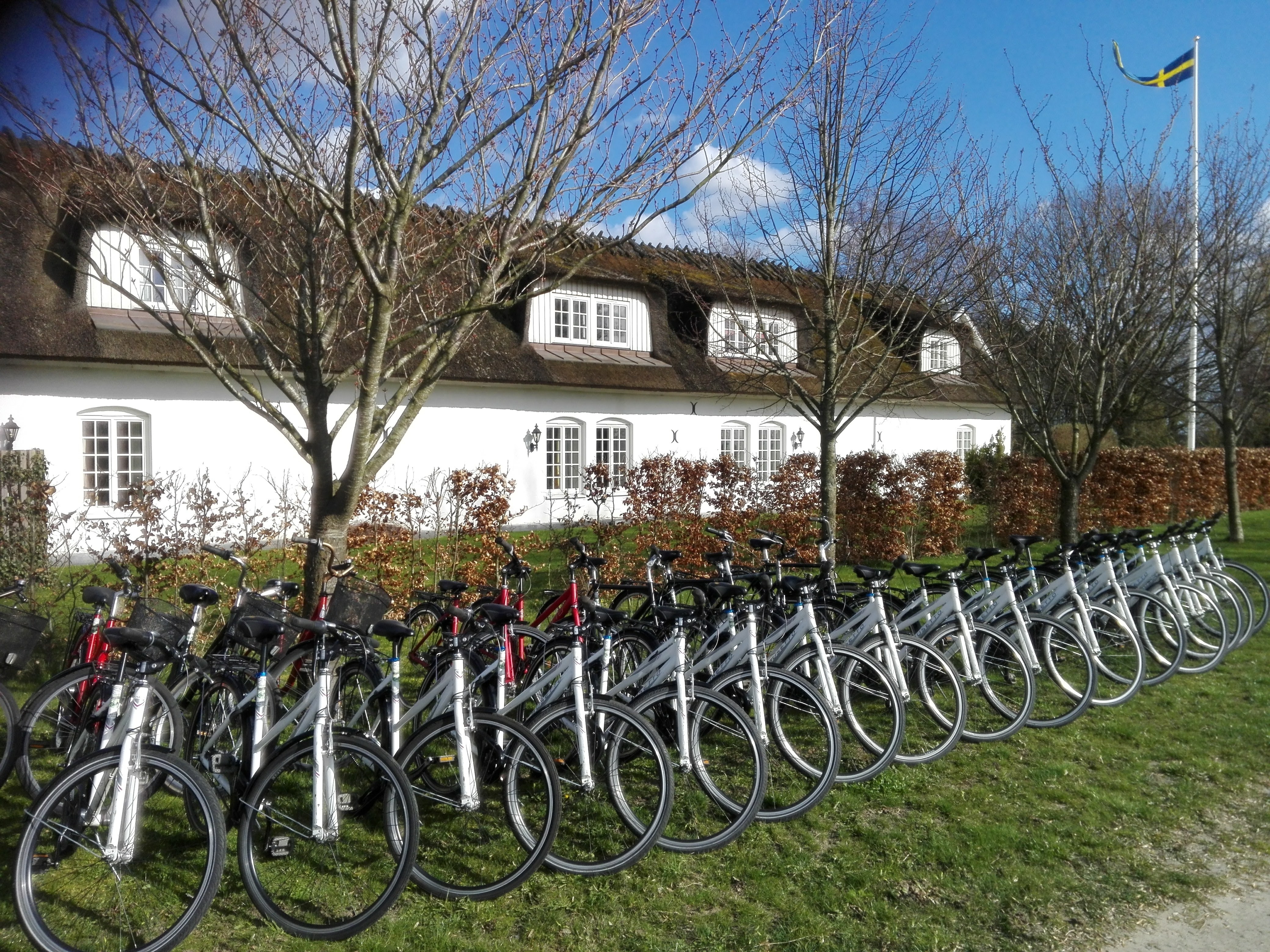 Adult & kids bikes and accessories for hire.