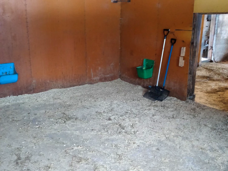 Vuokrataan tallipaikka