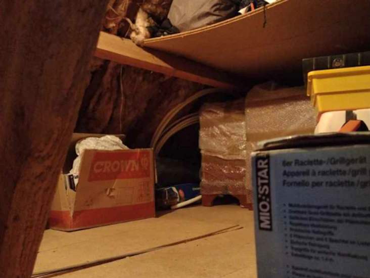 2x24 hour secure-loft/attic storage in private home.